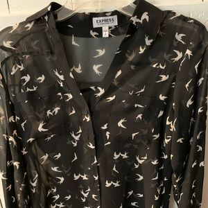 Express small sheer blouse